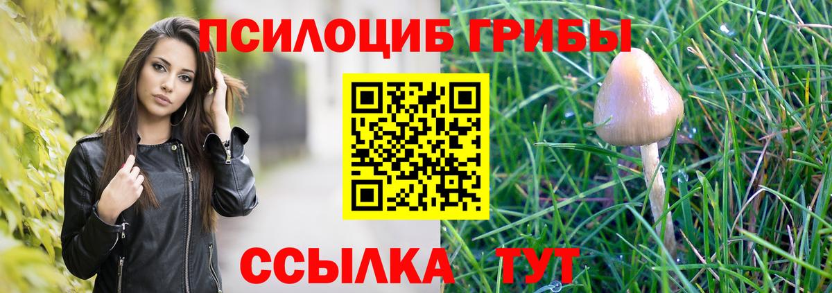 Псилоцибиновые грибы GOLDEN TEACHER Дубна