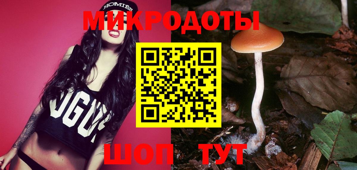 Дубна  Псилоцибиновые грибы ЛСД  Галлюциногенные грибы Psilocybine cubensis  Вход с VPN 